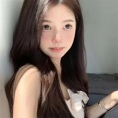 同居人是猫